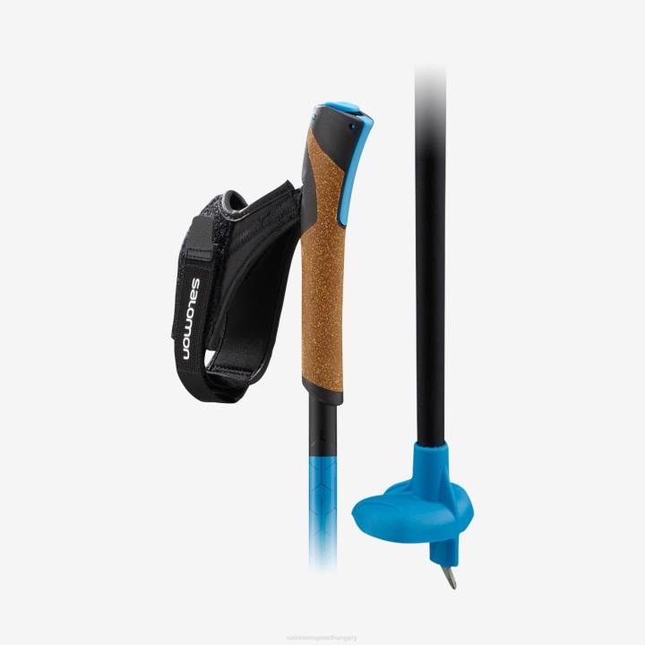 T8841492 Salomonunisex korcsolya|classic nordic pole s/lab carbon click kit