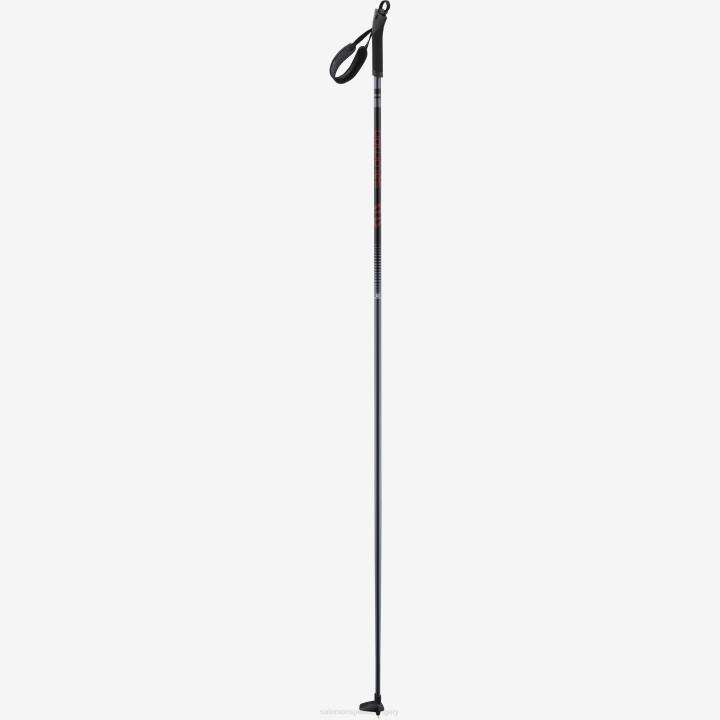 T8841497 Salomonuniszex korcsolyázás|klasszikus nordic pole menekülés