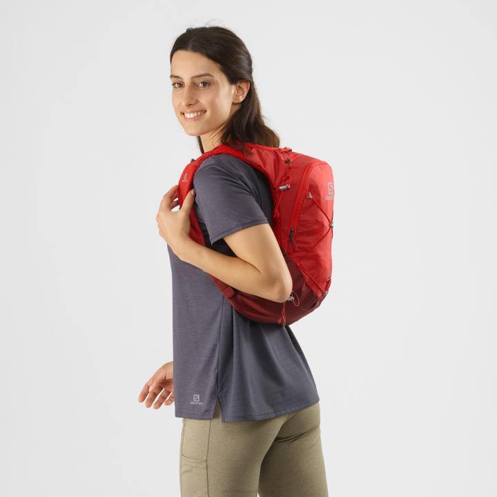T8841088 Salomon goji bogyó-madder barna unisex hidratáló kiegészítők xt 6 goji bogyó-madder barna