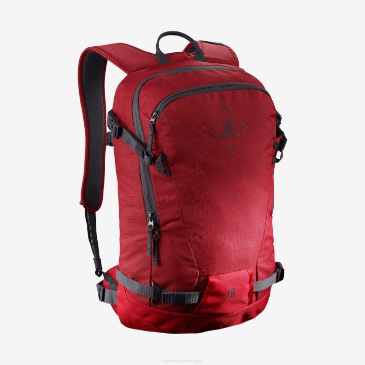 T8841106 Salomon goji bogyó unisex sításka oldalsó 18 goji bogyó