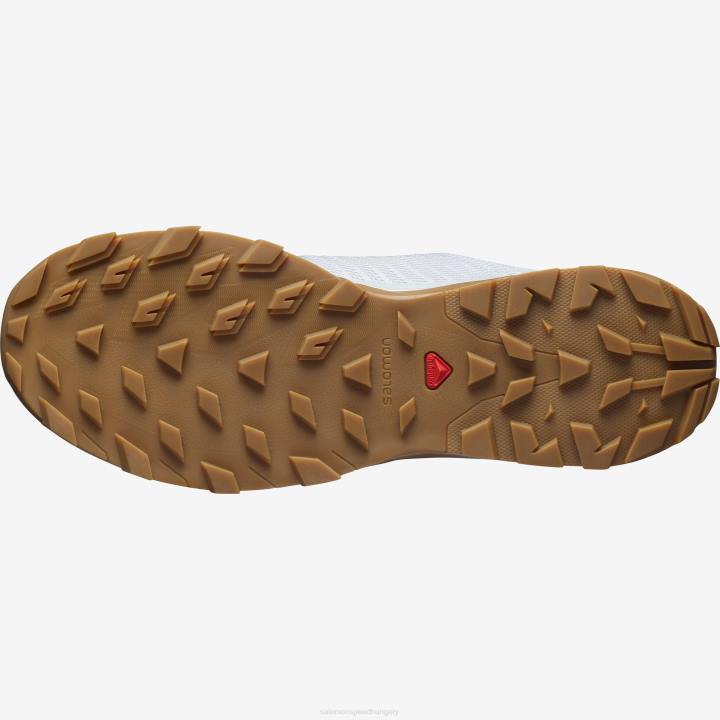 T8842254 Salomon holdkőzet-gum1a férfi túracipő kimenő prizma lunar rock-gum1a