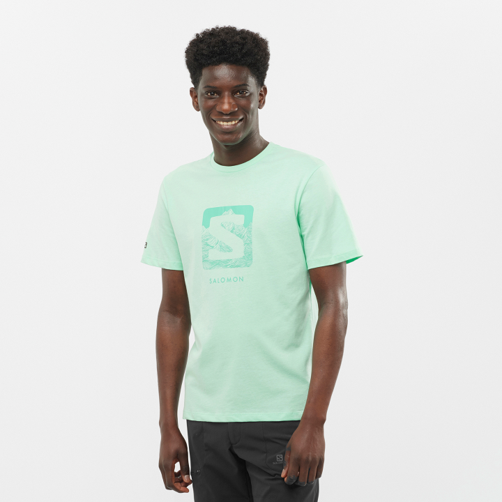 T884827 Salomon strand üveg férfi rövid ujjú póló outlife logós strandüveg