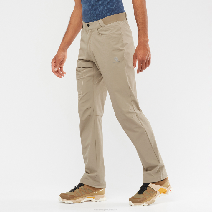 T884951 Salomon pörkölt kesudió férfi nadrág wayfarer sült kesudió