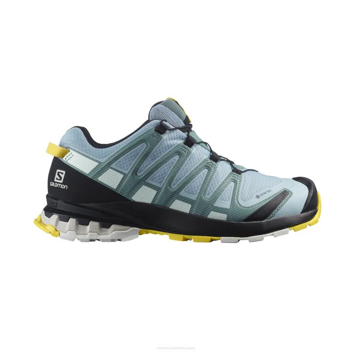 T8843482 Salomon zen blue-wht-go xa pro 3d v8 gore-tex w túracipő zen blue-wht-go