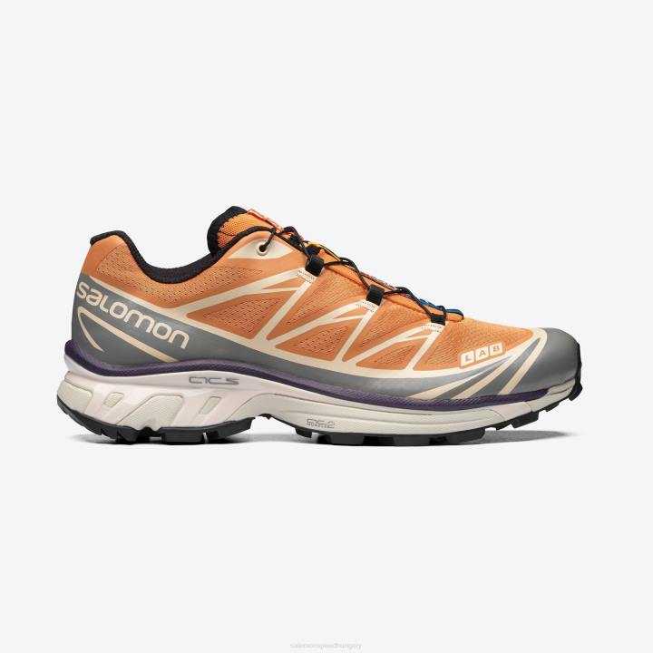 T8842357 Salomon sárgabarack buff/dérszürke/bársonyos reggel xt-6 kajszibarack dér szürke bársony reggel