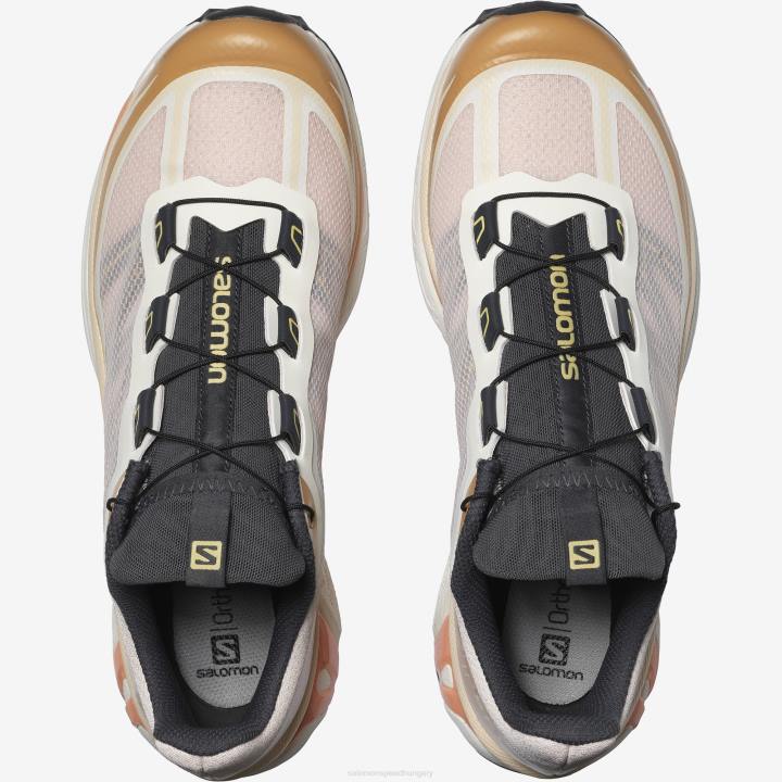 T88499 Salomon morganit/görögszéna/fekete xt-6 láb morganit