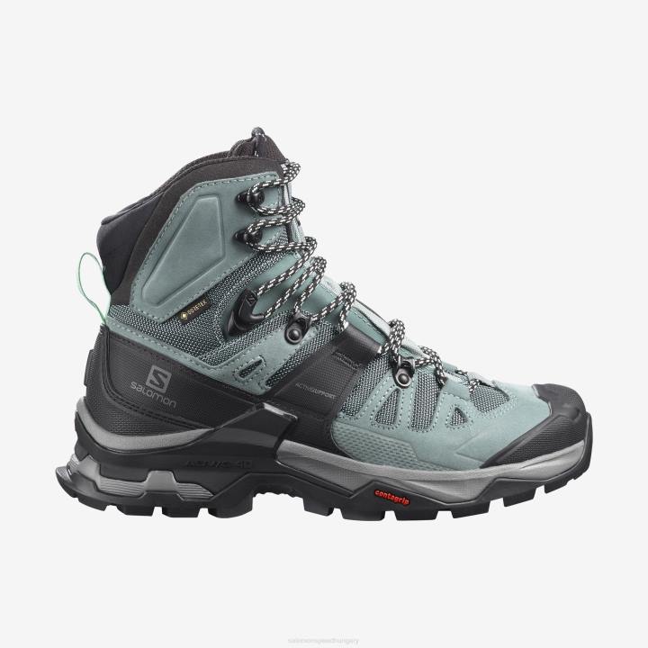 T8842336 Salomon pala/trooper/opálkék quest 4 gtx cipő női pala trooper opálkék