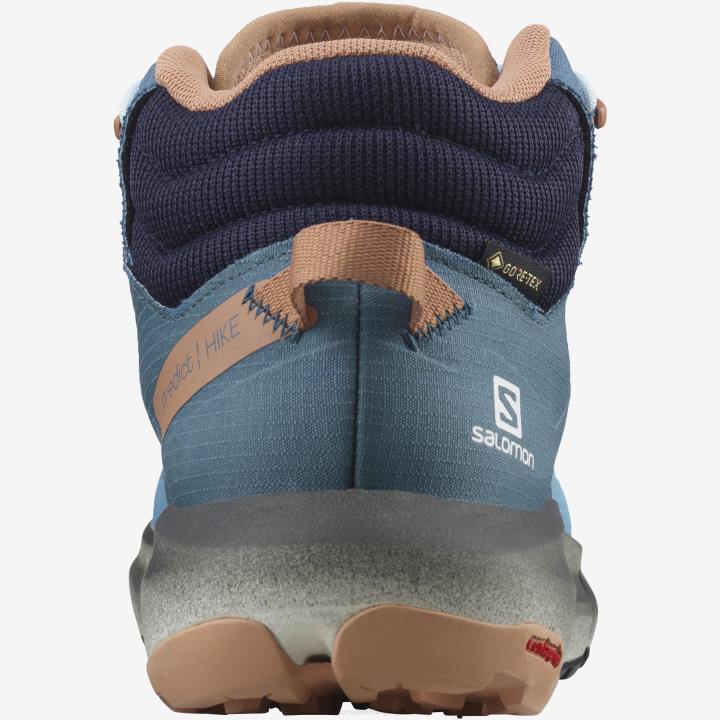 T8842347 Salomon tőkés récekék/delphiniumkék/mokkahab előrejelzés túra közepén gtx női tőkés réce kék delphinium kék mokka mousse
