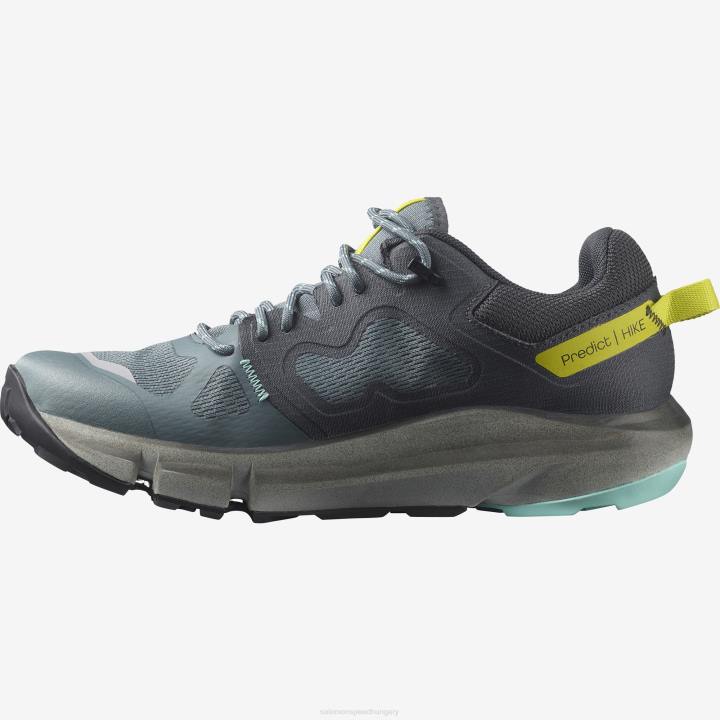 T88438 Salomon viharos időjárás / ébenfa / tanager türkiz jósolják túra gtx női viharos időjárás
