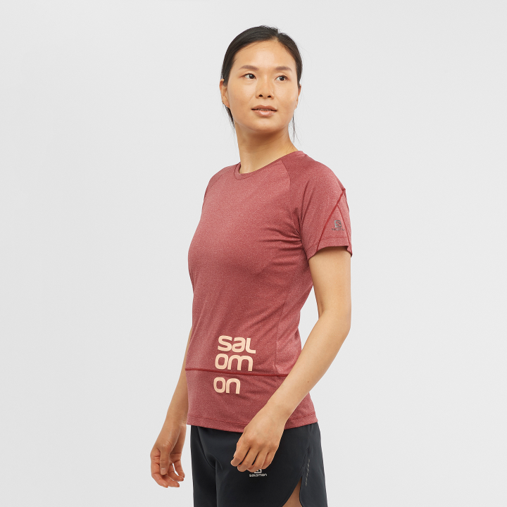 T8841620 Salomon cabernet-hanga női rövid ujjú póló cross run grafikus cabernet-heather
