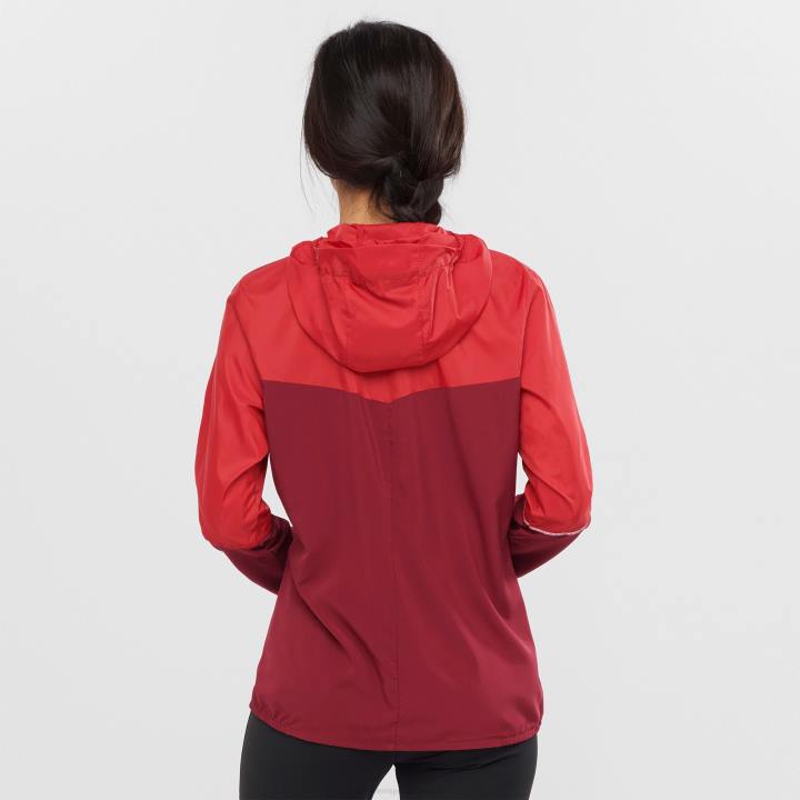 T8841723 Salomon piros chilis-gránátalma nők agilis szélvörös chilis-gránátalma