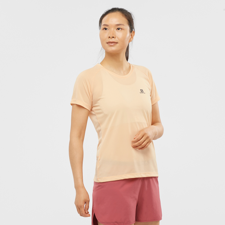 T8842228 Salomon sárgabarack jég női rövid ujjú póló cross rebel apricot ice